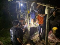 Mayat Pria Tanpa Identitas Ditemukan Membusuk di Kebun Karet Tenggarong