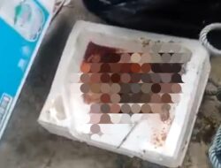 Heboh! Janin Bayi Mengapung di Sungai Ampal Balikpapan