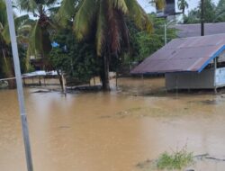 Hampir Seluruh Desa di Tabang Terendam, Banjir Susulan Capai Dua Meter