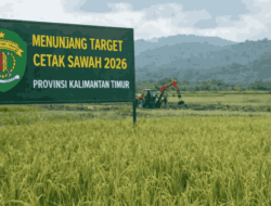 Kejar Target Cetak Sawah, Kaltim Perkuat Ketahanan Pangan Daerah di 2026