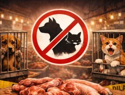 Pemprov Kaltim Tegaskan Larangan Peredaran Daging Anjing dan Kucing