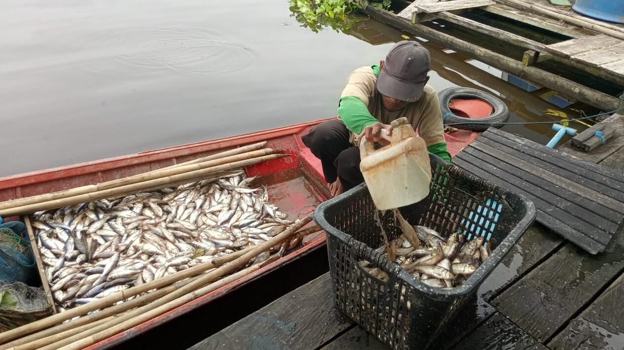 Produksi Ikan Asin di Semayang Menurun, Tengkulak Kehilangan 50 Persen Pasokan