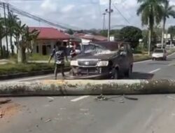 Pohon Tumbang di Jalur Tenggarong-Samarinda, Timpa Mobil dengan Lima Penumpang