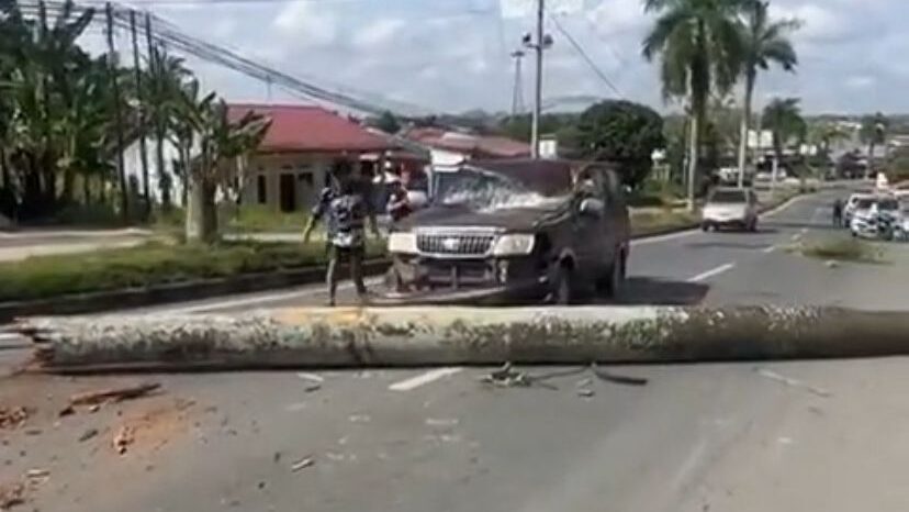 Pohon Tumbang di Jalur Tenggarong–Samarinda, Timpa Mobil dengan Lima Penumpang