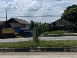 Mobil Tertimpa Pohon di Jalan Poros, DLHK Kukar Sebut Siap Evaluasi Perawatan 