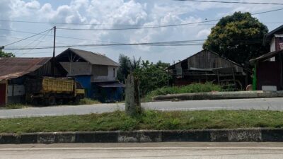 Mobil Tertimpa Pohon di Jalan Poros, DLHK Kukar Sebut Siap Evaluasi Perawatan 