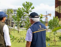Menhut Pastikan Rehabilitasi Hutan dan Lahan IKN Capai 1.805 Hektare