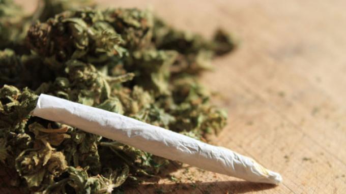 Salah Satu yang Terbesar, Jaringan Ganja Lintas Kabupaten Berhasil Dibongkar