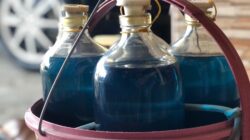 Bantah Isu Pertalite Rp25 Ribu, Camat Tabang Sebut Harga Eceran Masih Terkendali