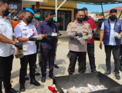 Musnahkan Barang Bukti, Polsek Loa Kulu Bakar Ganja Seberat Tiga Kilogram Lebih