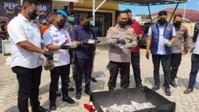 Musnahkan Barang Bukti, Polsek Loa Kulu Bakar Ganja Seberat Tiga Kilogram Lebih