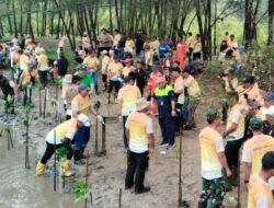 Perkuat Benteng Alami Lawan Abrasi, Otorita IKN Tanam 500 Mangrove di Pantai Tanah Merah 