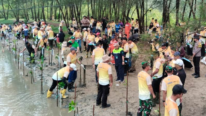 Perkuat Benteng Alami Lawan Abrasi, Otorita IKN Tanam 500 Mangrove di Pantai Tanah Merah 