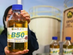 Penerapan B50 Diklaim Mampu Tingkatkan Penyerapan Sawit Rakyat di Kaltim