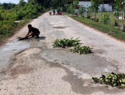 Akses Rusak, Pengelola Pantai Tanah Merah Gotong Royong Perbaiki Jalan Masuk