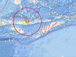 Gempa M 7,7 Guncang Flores, BMKG Sebut Berpotensi Tsunami