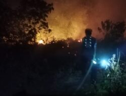 Masuk 10 Besar Daerah Rawan, Pemprov Kaltim Tetapkan Status Siaga Bencana Karhutla