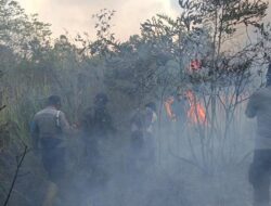 Taman Nasional Way Kambas Terbakar, Gajah Liar Dipastikan Dalam Kondisi Aman