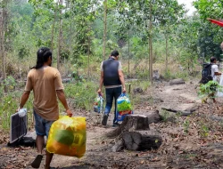 Setelah Mediasi dengan Otorita IKN, Warga Bukit Tengkorak Dipulangkan ke Kampung Halaman