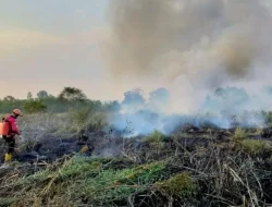 Ancaman Kemarau Panjang Mengintai, DPRD Samarinda Dorong Keterlibatan Sektor Swasta Atasi Karhutla