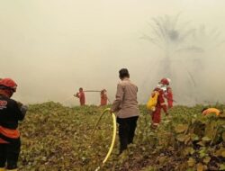 456 Hektare Lahan Terbakar, Polda Kaltim Tetapkan 9 Tersangka Kasus Karhutla