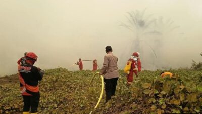 456 Hektare Lahan Terbakar, Polda Kaltim Tetapkan 9 Tersangka Kasus Karhutla