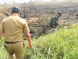 Karhutla Merajalela di Samarinda, Pemkot Minta Masyarakat Tidak Membakar Sampah