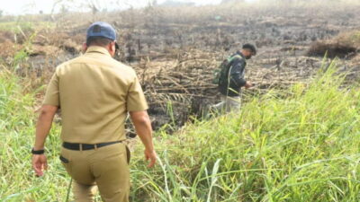 Karhutla Merajalela di Samarinda, Pemkot Minta Masyarakat Tidak Membakar Sampah