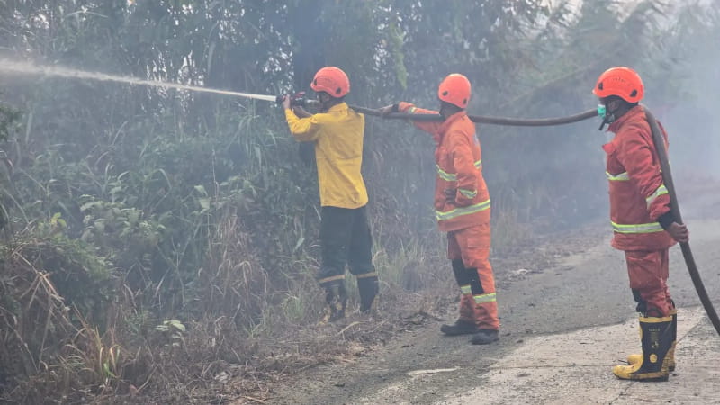 Samarinda Darurat Kabut Asap, Kualitas Udara Masuk Kategori Tidak Sehat