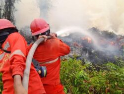 Polri Tuding Ada Keterlibatan Pihak Asing dalam Karhutla di Indonesia