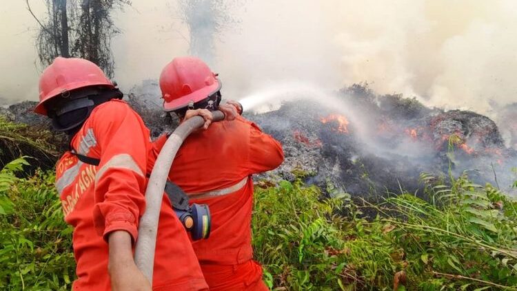 Kapolri Klaim Ada Keterlibatan Pihak Asing dalam Karhutla di Indonesia