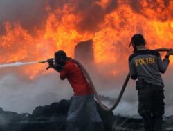 BPBD Sebut Seribu Hektare Lebih Lahan di Kaltim Masih Terbakar